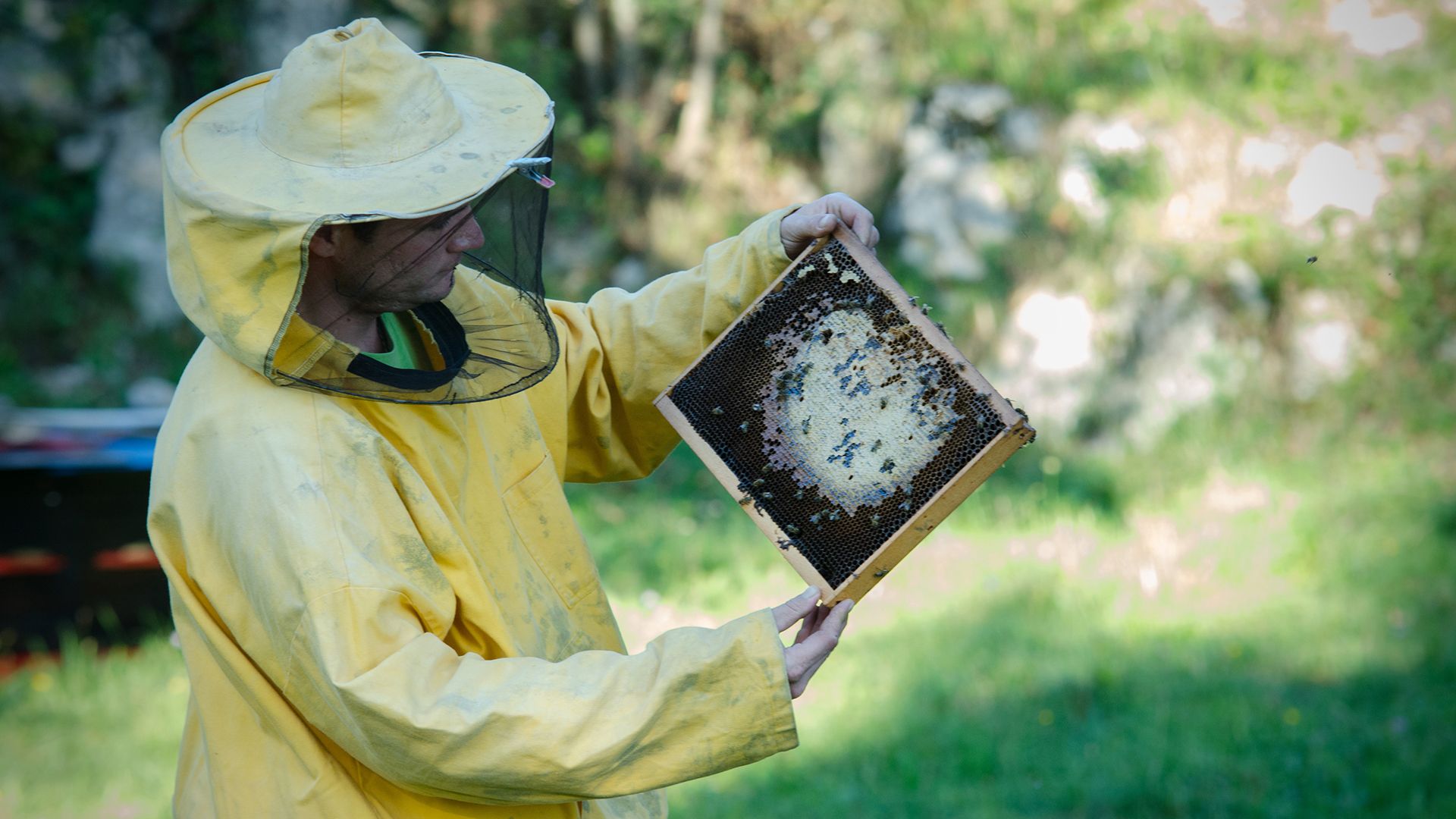 Family Beekeeping Tradition | Suza T.B.