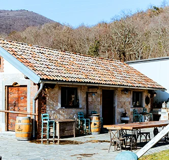 Exterior view of the Suza T.B. tasting room, an authentic Croatian craft distillery surrounded by greenery